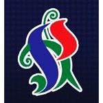 shree raghupati stonex pvt ltd