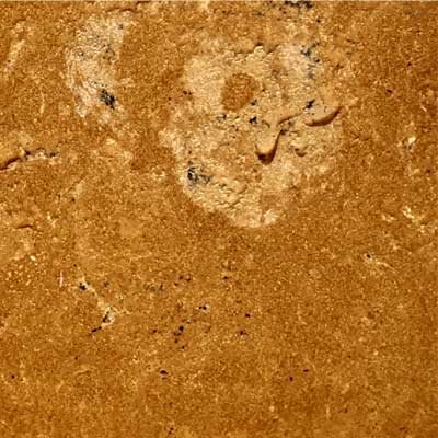 flower gold sandstone